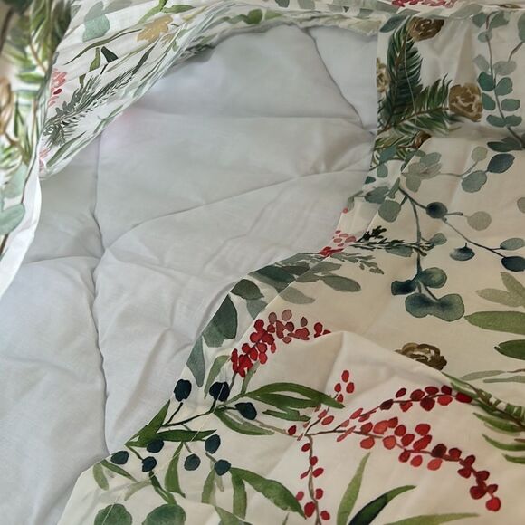 Pottery Barn Teen Noel Botanical Sham standard - Picture 5 of 7